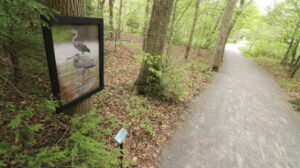 West Virginia Botanic Garden’s 2024 Photo Trail illustrates the convergence of art and nature, showcases local photographers